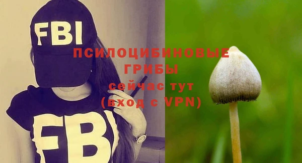 спиды Верея