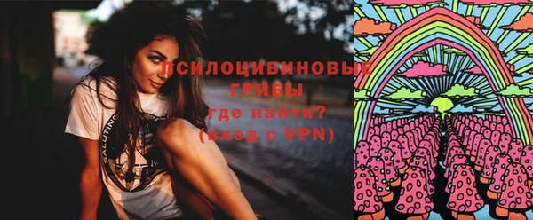 молекула духа Верхний Тагил